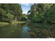 567 Humpty Back Rd, Pearces Creek NSW 2477