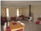567 Humpty Back Rd, Pearces Creek NSW 2477