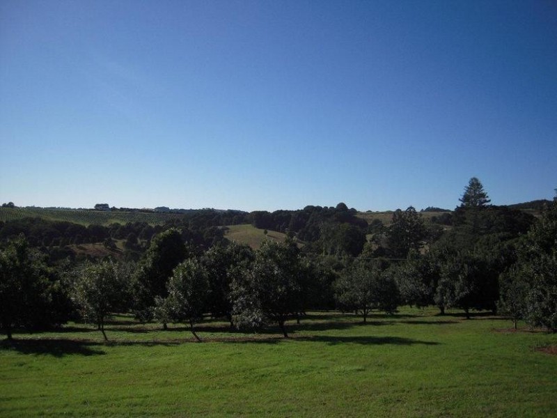567 Humpty Back Rd, Pearces Creek NSW 2477