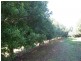 567 Humpty Back Rd, Pearces Creek NSW 2477