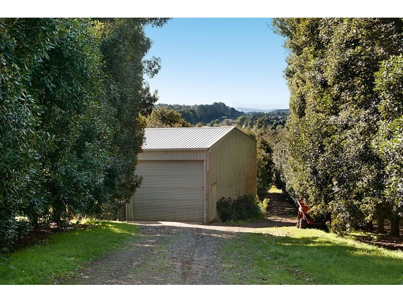 388 Rous Mill Road, Rous Mill NSW 2477