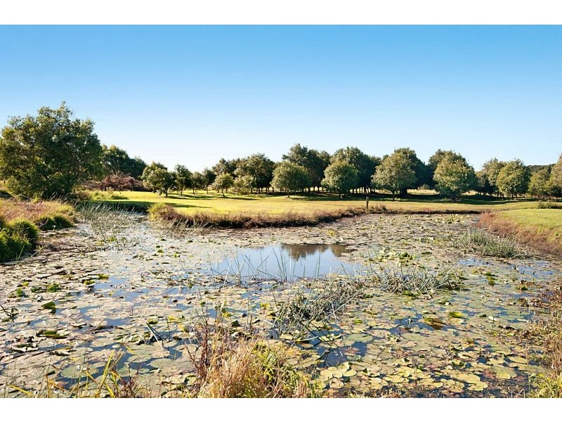 388 Rous Mill Road, Rous Mill NSW 2477