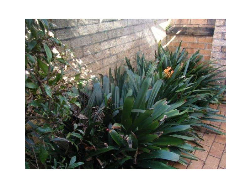 2/51 Whipps Avenue, Alstonville NSW 2477