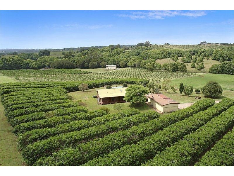 1050 Eltham Road, Pearces Creek NSW 2477
