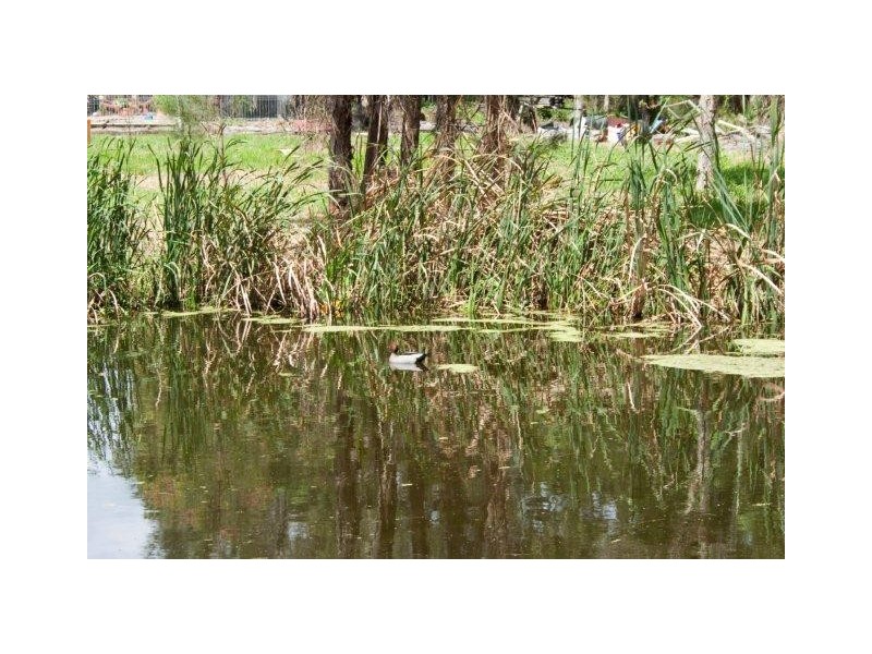 218 North Creek Road, Ballina NSW 2478