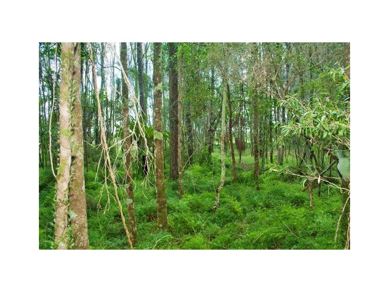 218 North Creek Road, Ballina NSW 2478