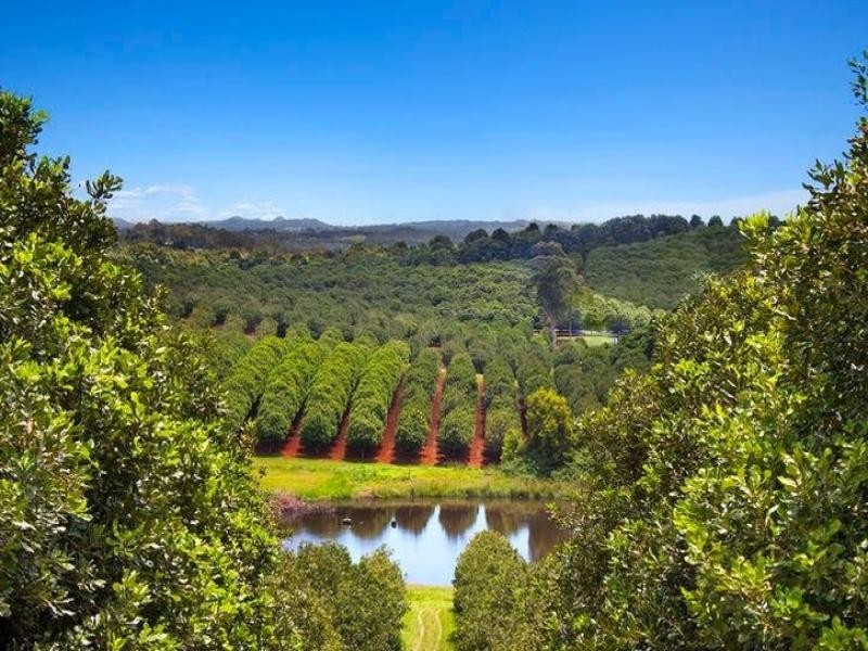 23 Shaws Lane, Tuckombil NSW 2477