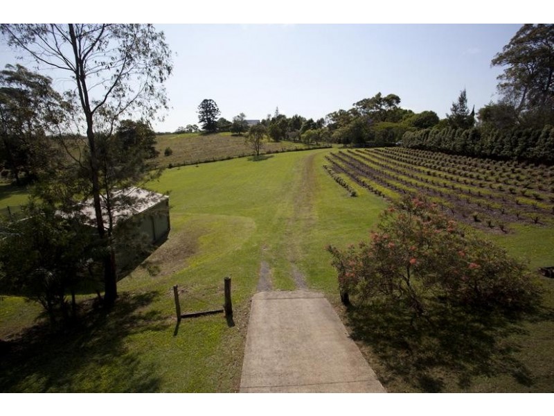 1238 Bruxner Highway, Lindendale NSW 2480