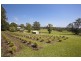 1238 Bruxner Highway, Wollongbar NSW 2477