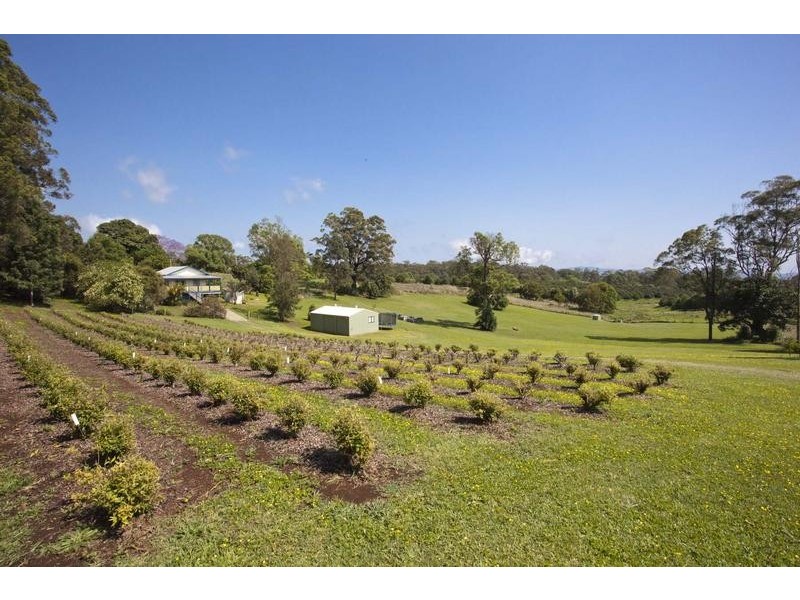 1238 Bruxner Highway, Wollongbar NSW 2477