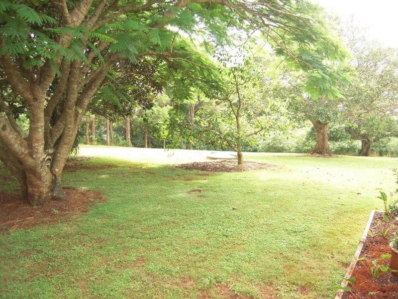 402 Cowlong Road, Mcleans Ridges NSW 2480