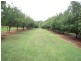 402 Cowlong Rd, Mcleans Ridges NSW 2480