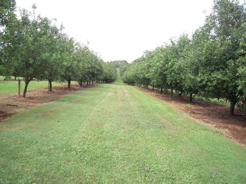 402 Cowlong Rd, Mcleans Ridges NSW 2480