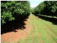 402 Cowlong Rd, Mcleans Ridges NSW 2480