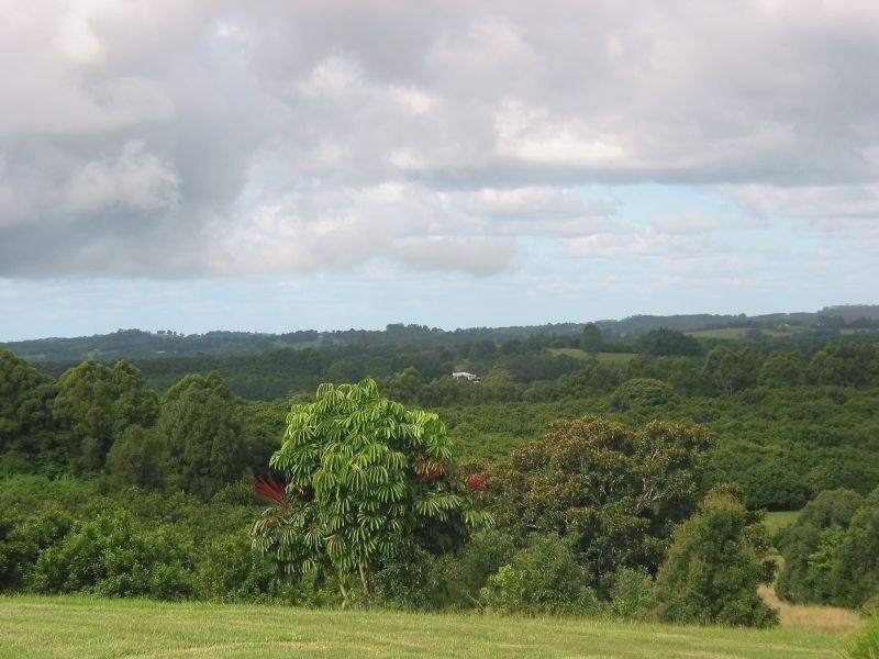 402 Cowlong Rd, Mcleans Ridges NSW 2480
