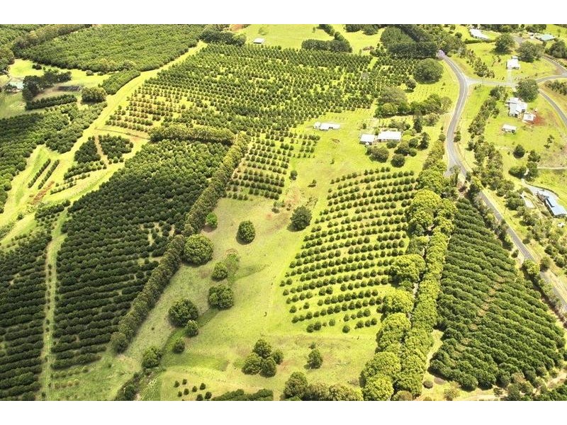 402 Cowlong Rd, Mcleans Ridges NSW 2480