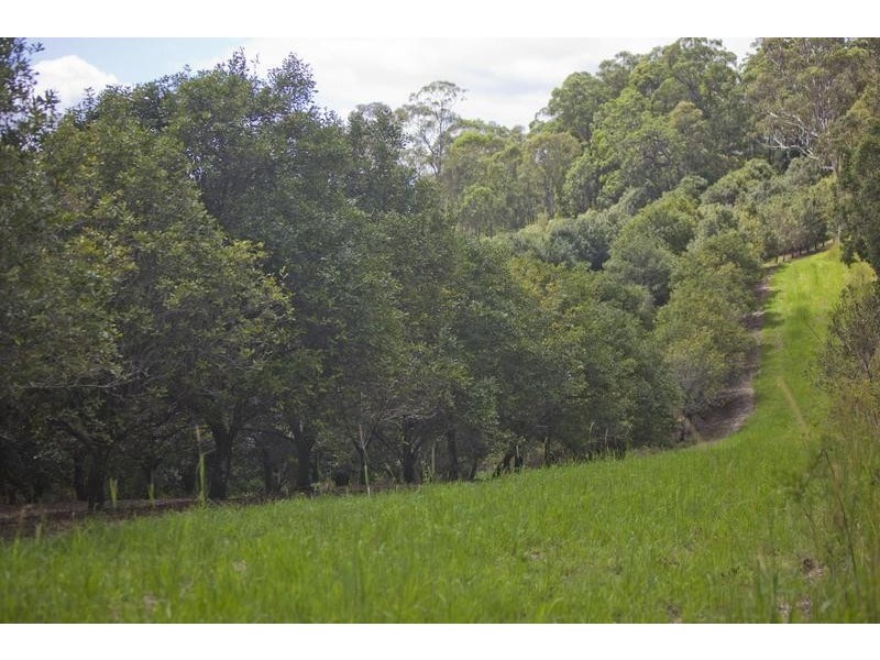 403 Fredricks Road, Caniaba NSW 2480