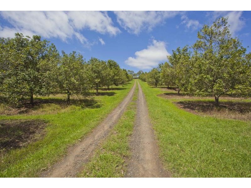 403 Fredricks Road, Caniaba NSW 2480