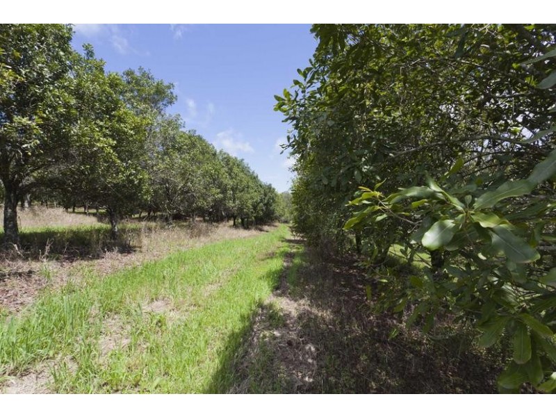 403 Fredricks Road, Caniaba NSW 2480