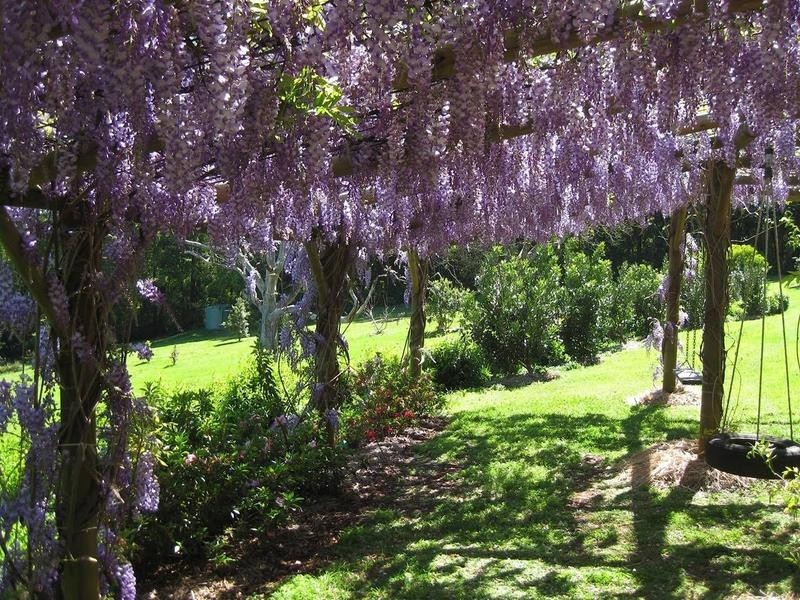 377 Pearces Creek Road, Alstonville NSW 2477