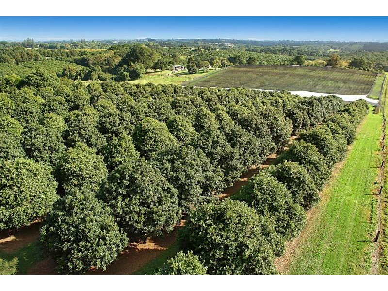 68 Howards Road, Alstonville NSW 2477