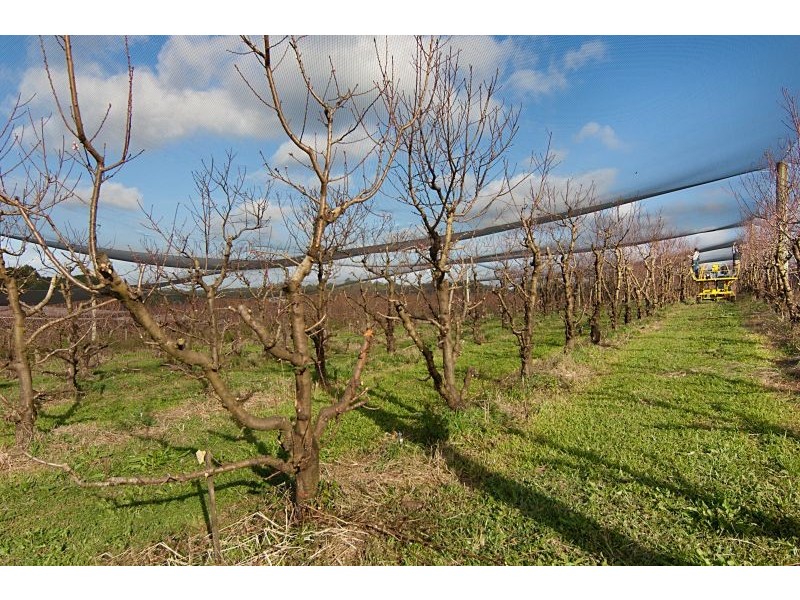 68 Howards Road, Alstonville NSW 2477