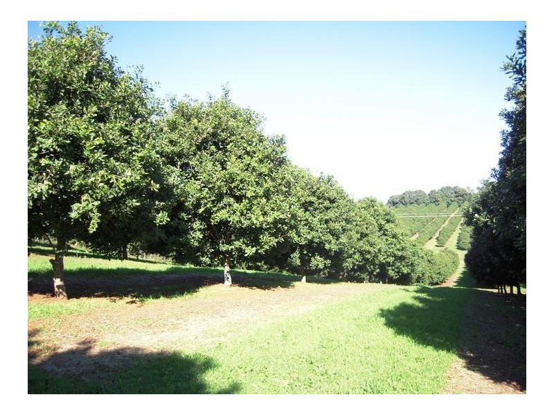 68 Howards Road, Alstonville NSW 2477