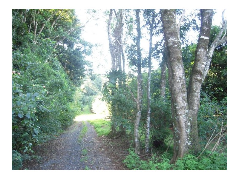 68 Howards Road, Alstonville NSW 2477