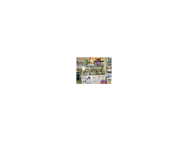 422 Ballina Road, Lismore Heights NSW 2480