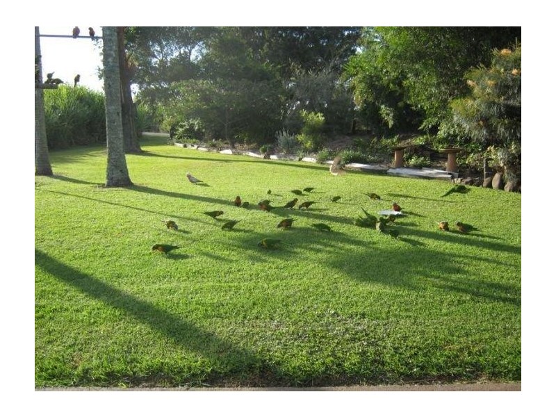 185 Empire Vale Road, South Ballina NSW 2478