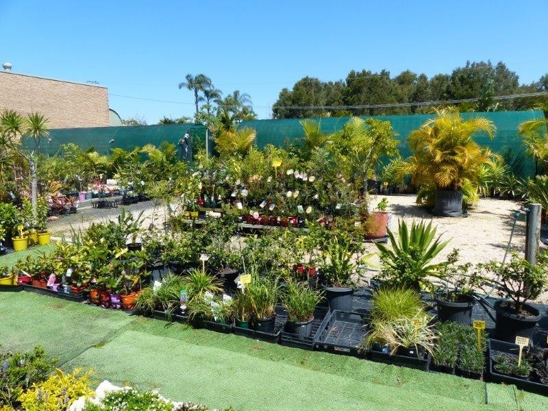 30 De Havilland Crescent, Ballina NSW 2478