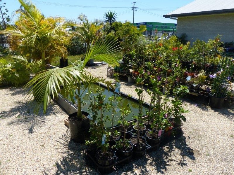 30 De Havilland Crescent, Ballina NSW 2478