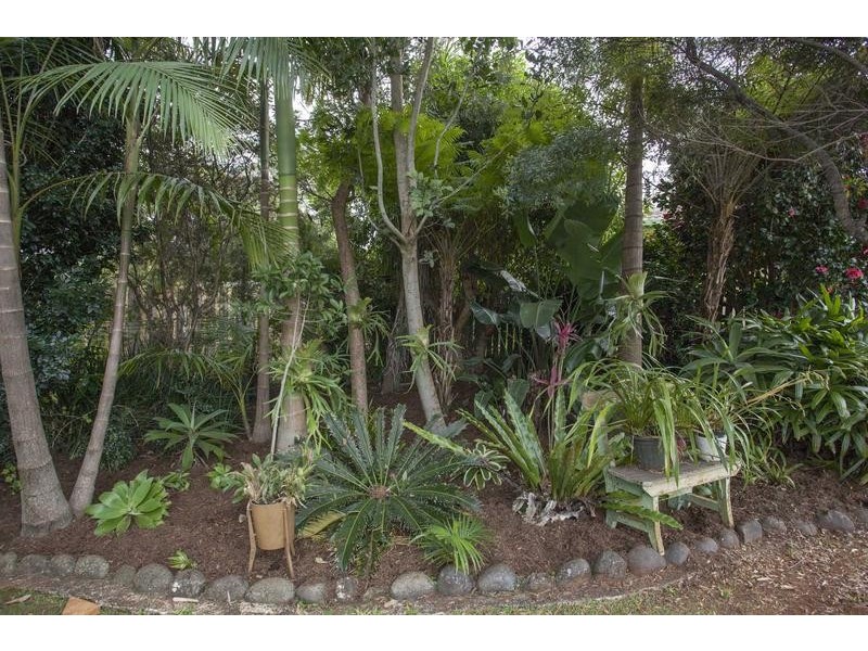 17 Arrowsmith Avenue, Alstonville NSW 2477