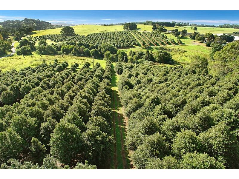 68 Howards Road, Alstonville NSW 2477