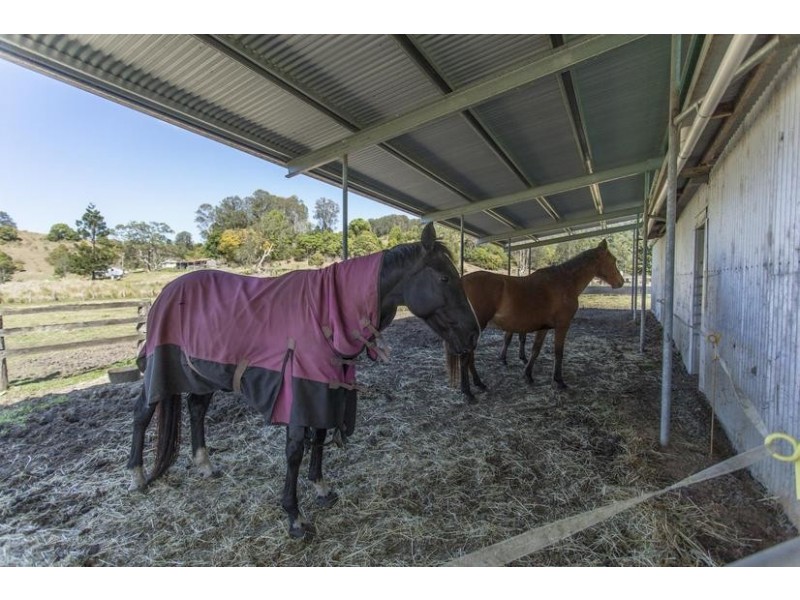 1037 Jiggi Road, Jiggi NSW 2480