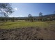 1037 Jiggi Road, Jiggi NSW 2480