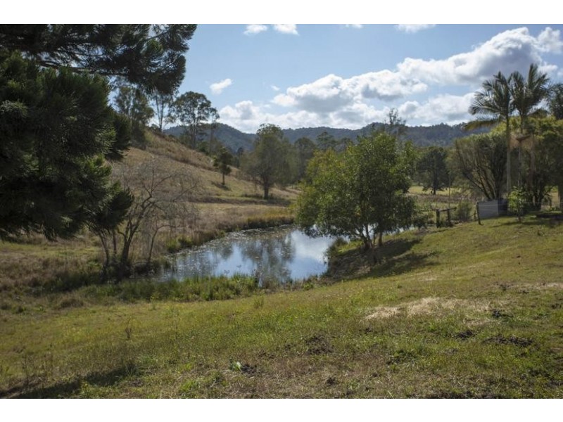 1037 Jiggi Road, Jiggi NSW 2480