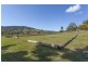 1037 Jiggi Road, Jiggi NSW 2480