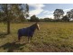 9870 Pacific Highway, Woodburn NSW 2472