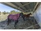 1037 Jiggi Road, Jiggi NSW 2480