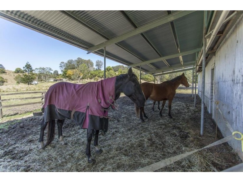 1037 Jiggi Road, Jiggi NSW 2480