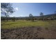 1037 Jiggi Road, Jiggi NSW 2480
