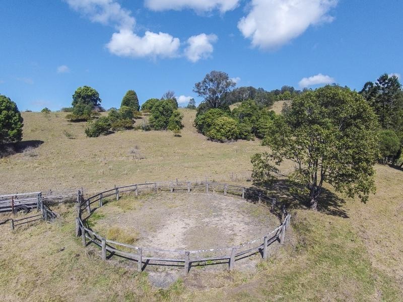 1037 Jiggi Road, Jiggi NSW 2480