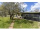 1037 Jiggi Road, Jiggi NSW 2480