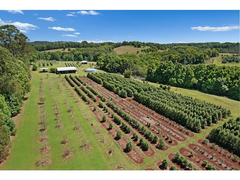 63 Gibsons Rd, Alstonvale NSW 2477