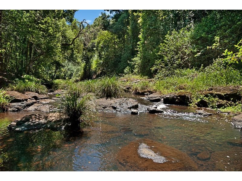 63 Gibsons Rd, Alstonvale NSW 2477