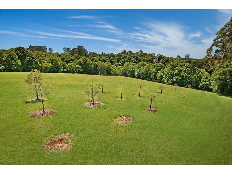 63 Gibsons Rd, Alstonvale NSW 2477