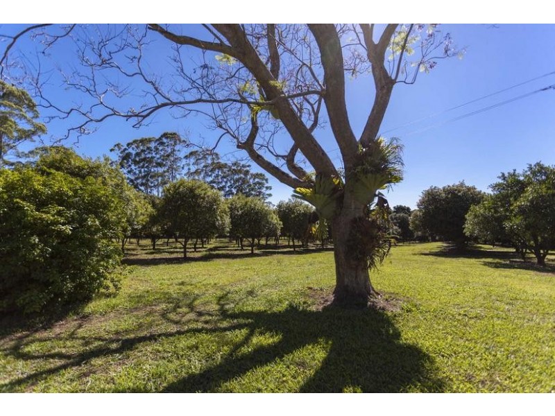 208 Fernleigh Rd, Fernleigh NSW 2479
