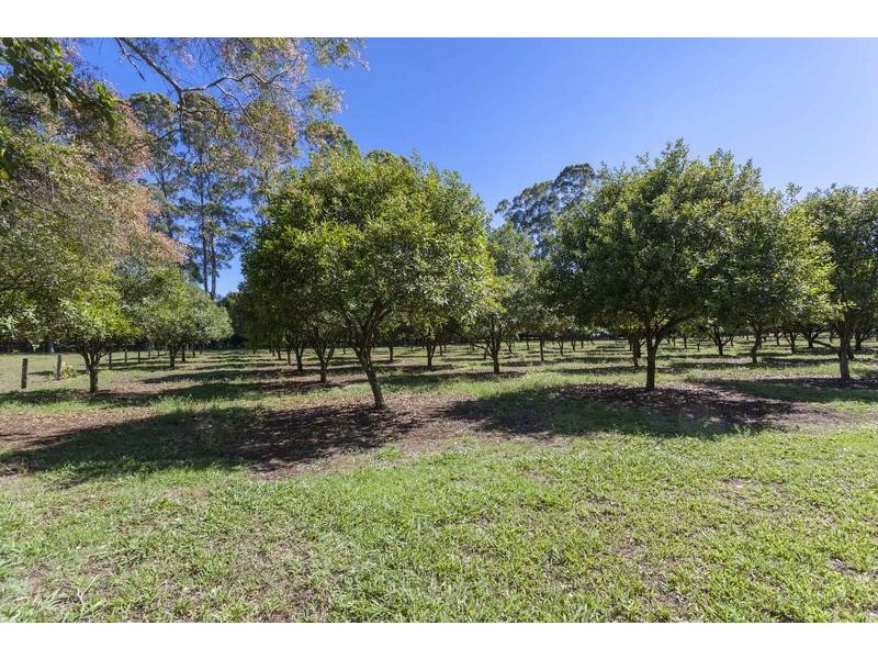 208 Fernleigh Road, Fernleigh NSW 2479