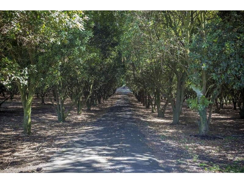 208 Fernleigh Road, Fernleigh NSW 2479